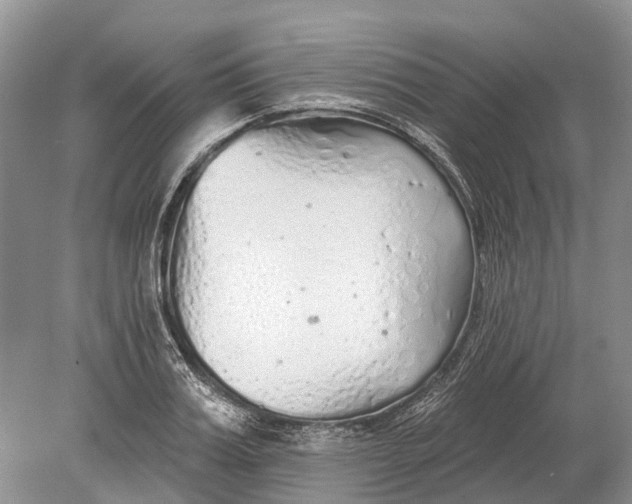 X0000078830987200612041808