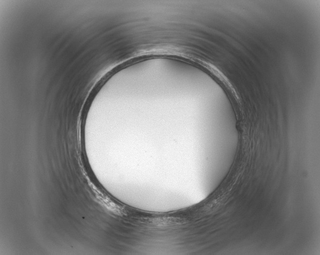 X0000078830988200612041808