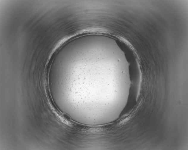 X0000078830989200612041808