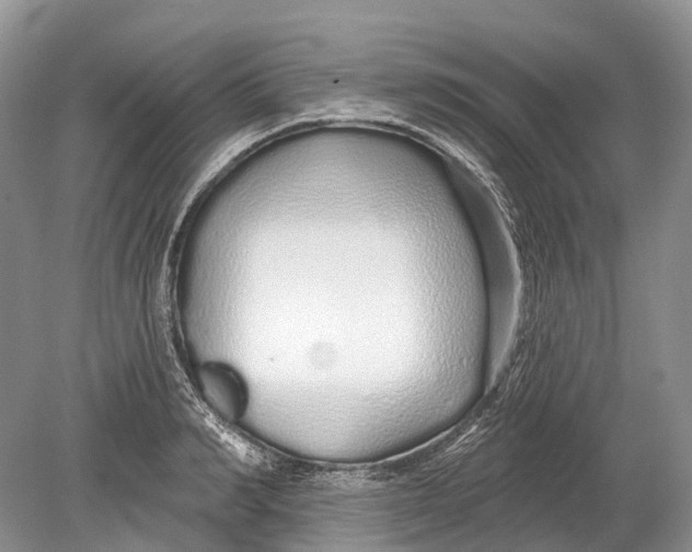 X0000078830990200612041808