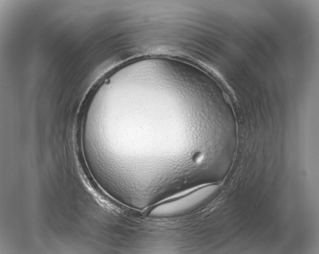 X0000078830991200612041808