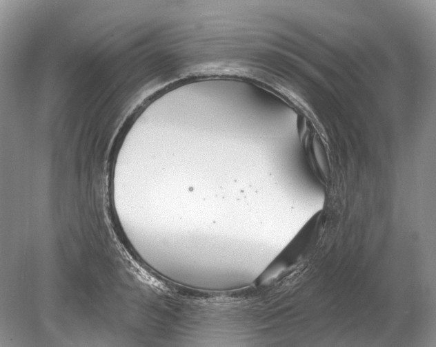 X0000078830992200612041808