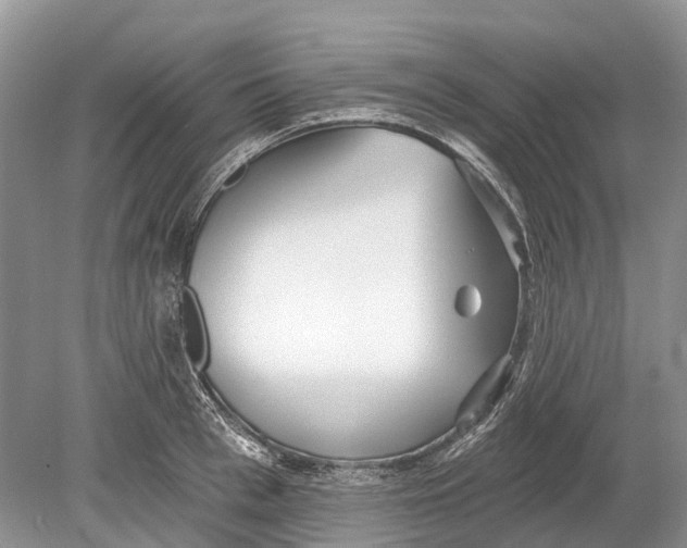 X0000078830993200612041808