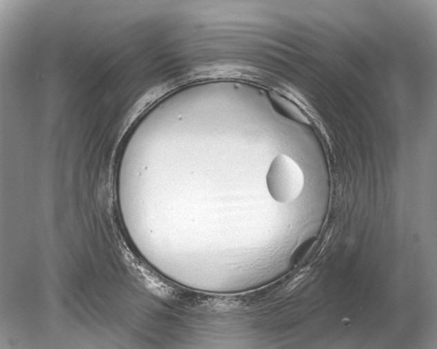 X0000078830994200612041808