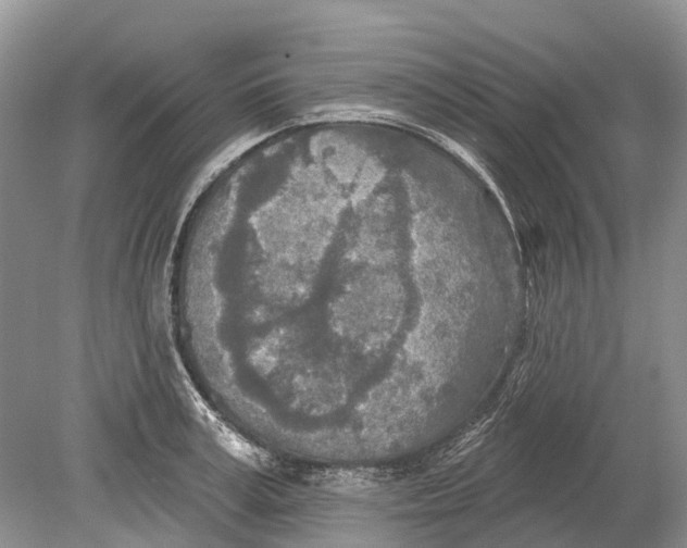 X0000078830995200612041808