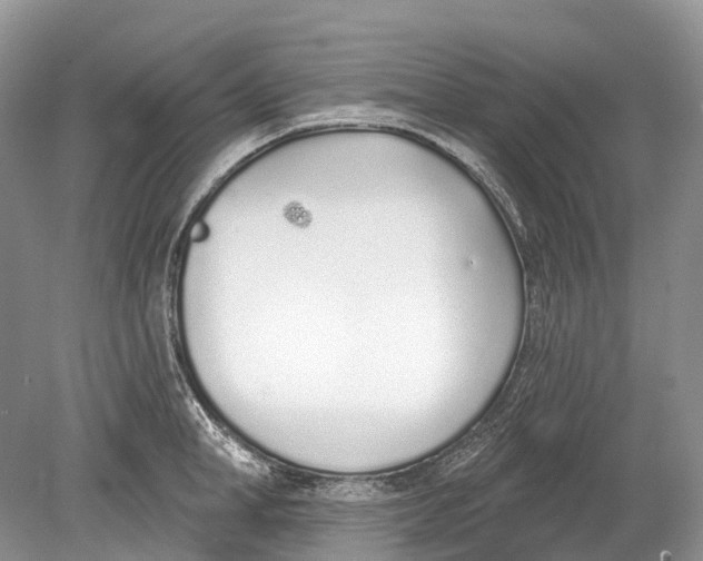 X0000078830998200612041808