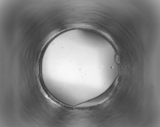 X0000078830999200612041808