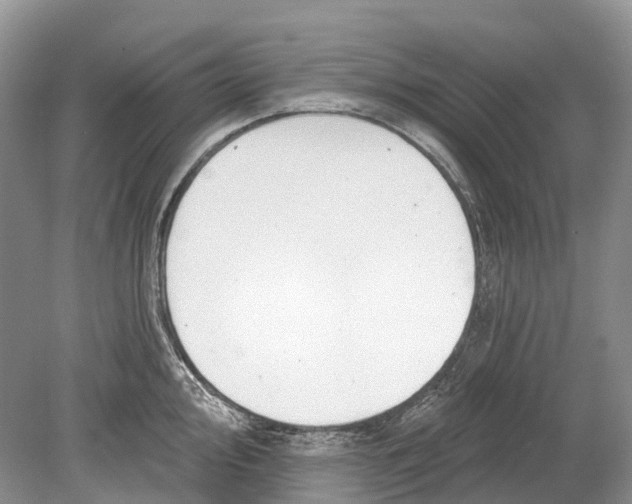 X0000078831000200612041808