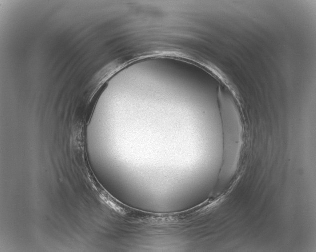 X0000078831001200612041808