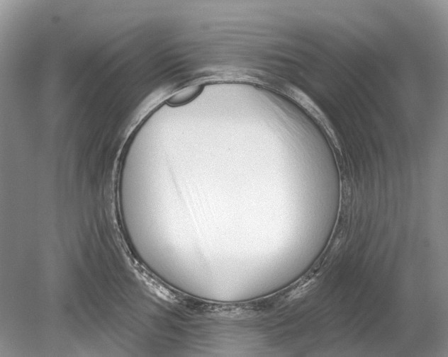 X0000078831002200612041808