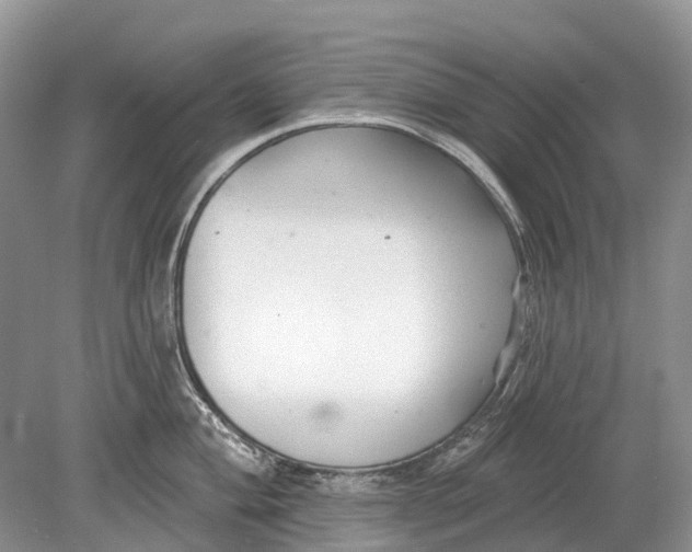 X0000078831004200612041808