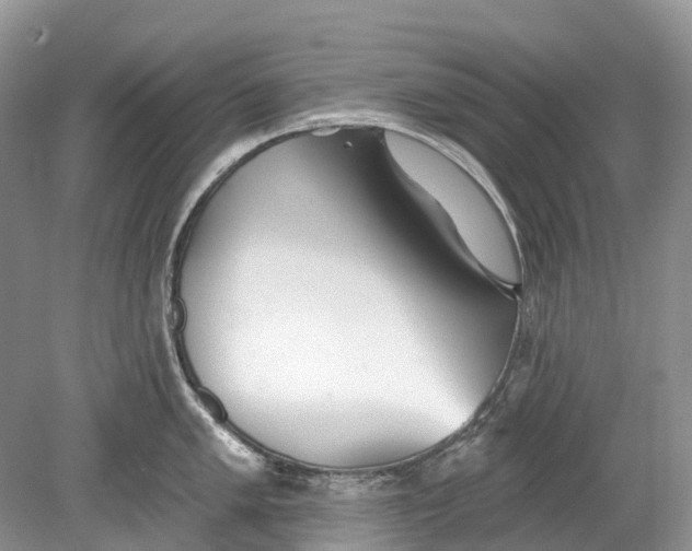 X0000078831005200612041808