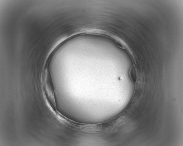 X0000078831007200612041808