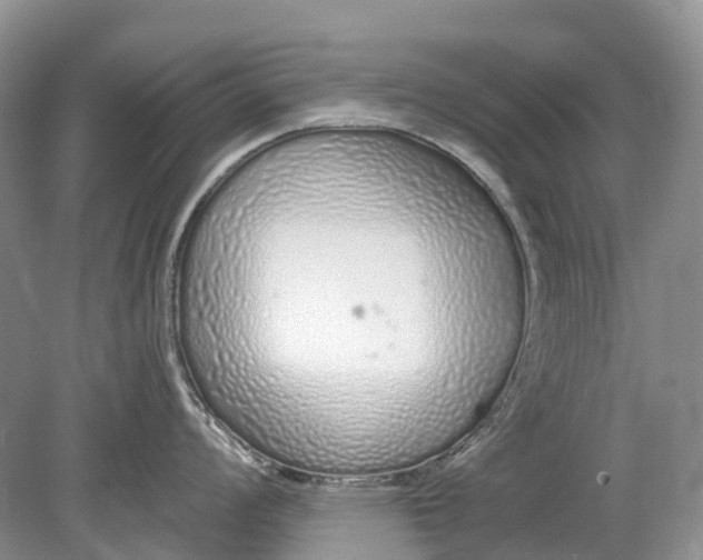 X0000078831008200612041808