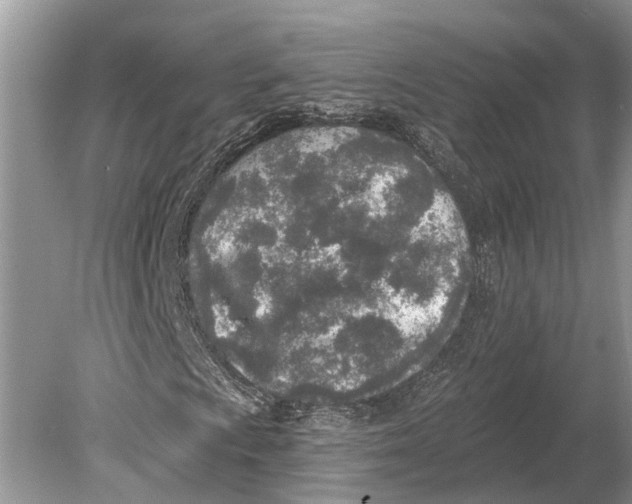 X0000078831009200612041807