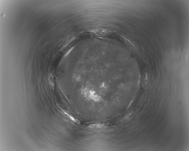 X0000078831010200612041807