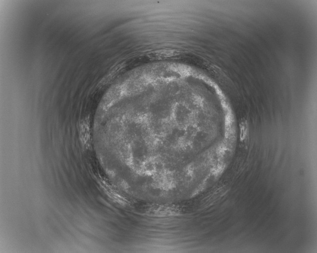 X0000078831011200612041807