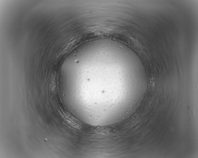 X0000078831012200612041807