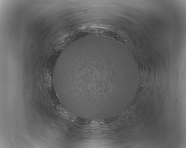 X0000078831013200612041807