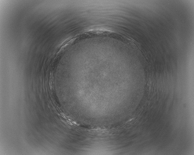 X0000078831014200612041807