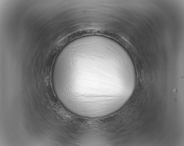 X0000078831015200612041807