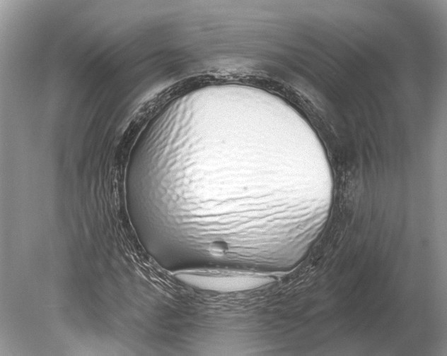 X0000078831016200612041807