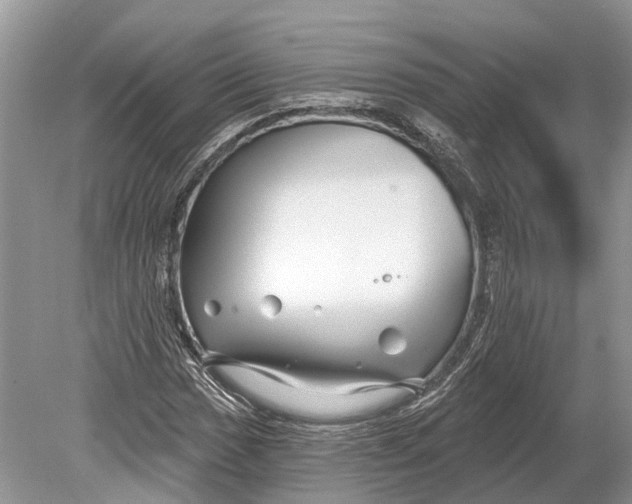 X0000078831017200612041807