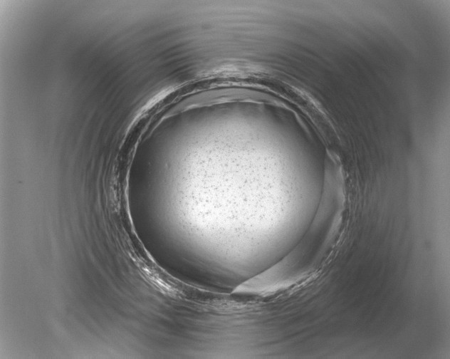 X0000078831018200612041807