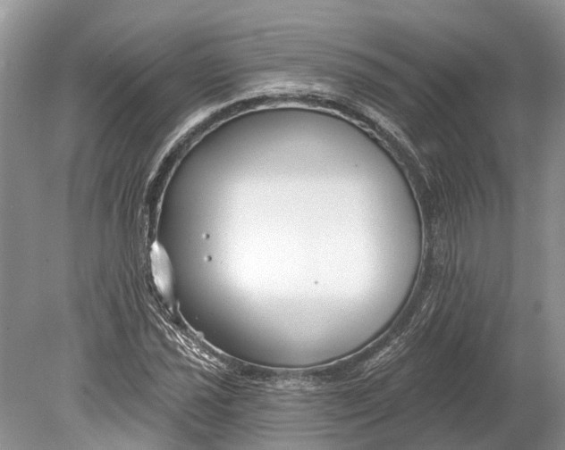 X0000078831021200612041807