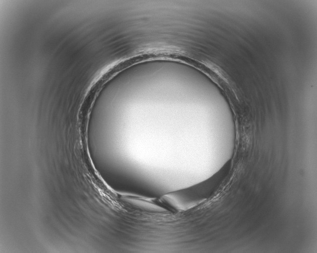 X0000078831022200612041808