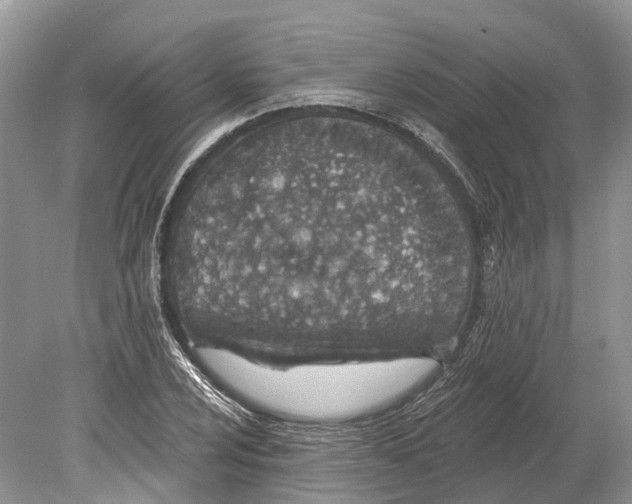 X0000078831024200612041808