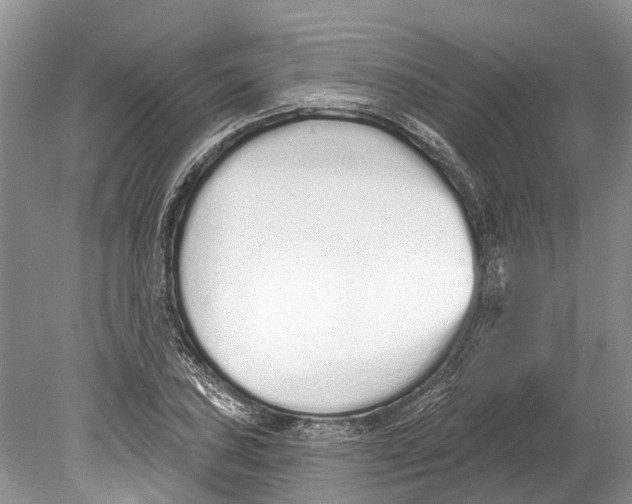 X0000078831027200612041808