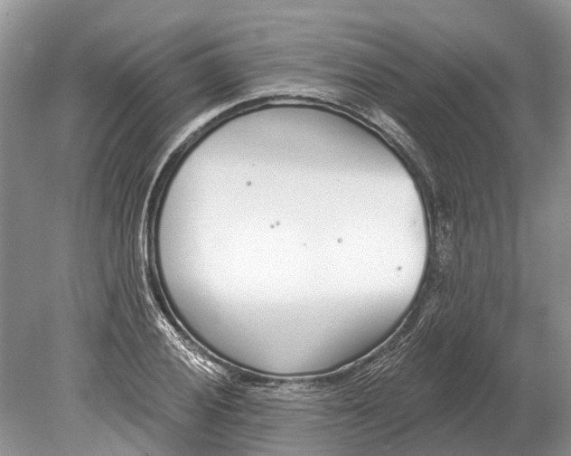 X0000078831028200612041808