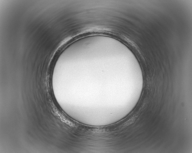 X0000078831029200612041808