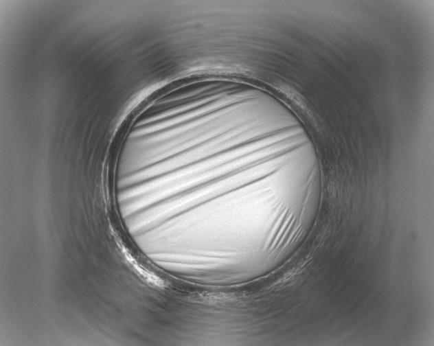 X0000078831030200612041808