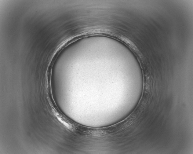 X0000078831031200612041808