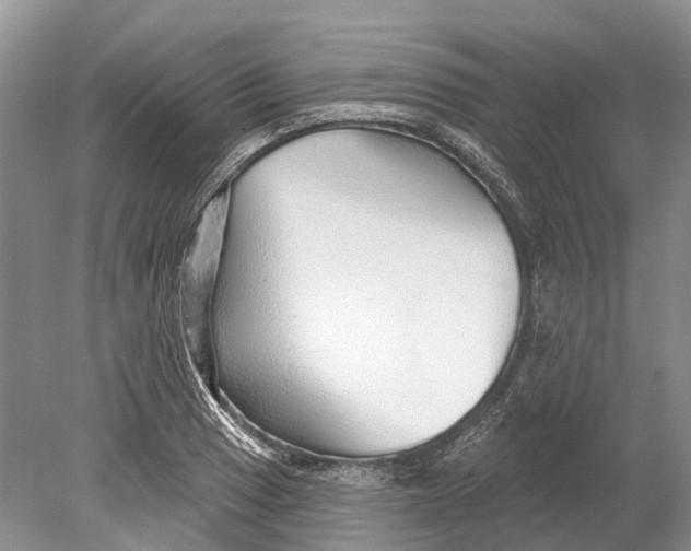 X0000078831033200612041808