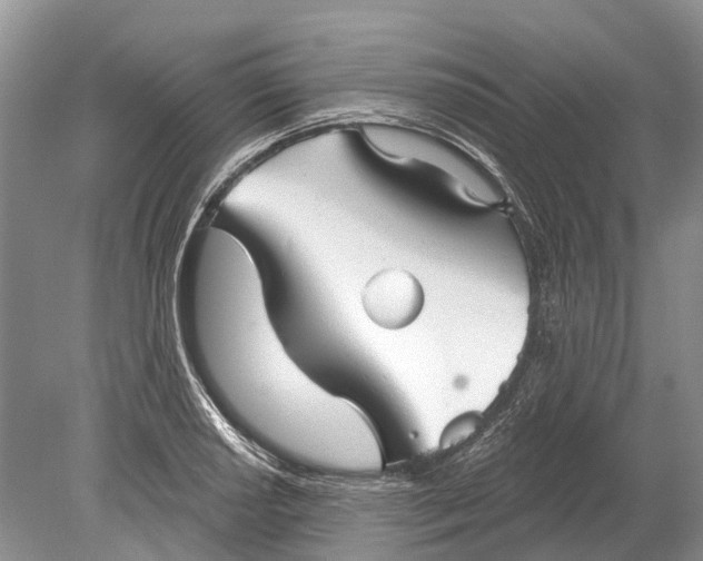 X0000078831034200612041808