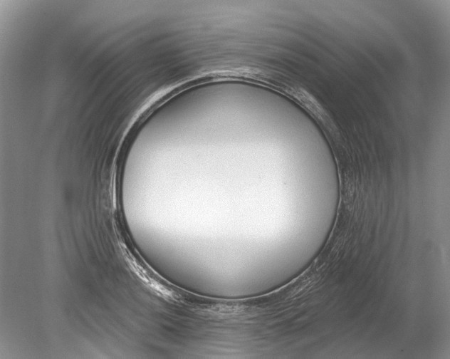 X0000078831036200612041808