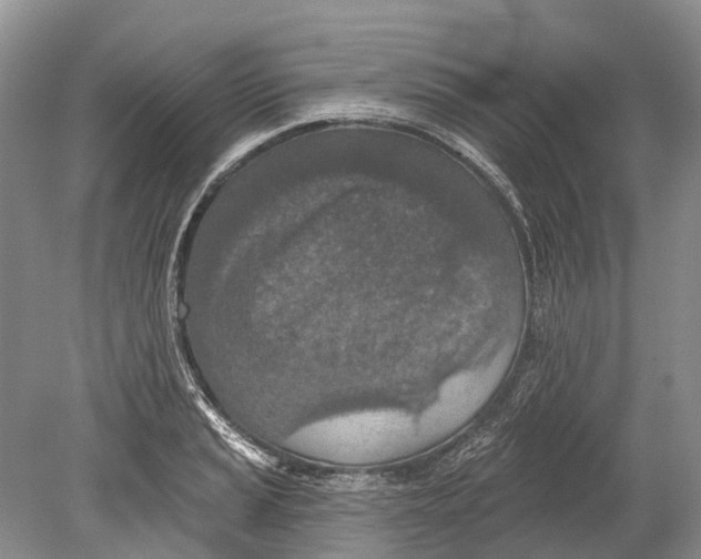 X0000078831037200612041808