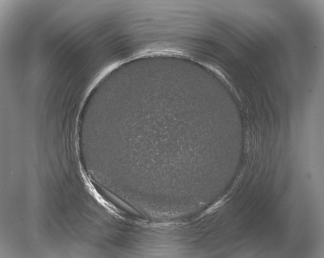 X0000078831038200612041808