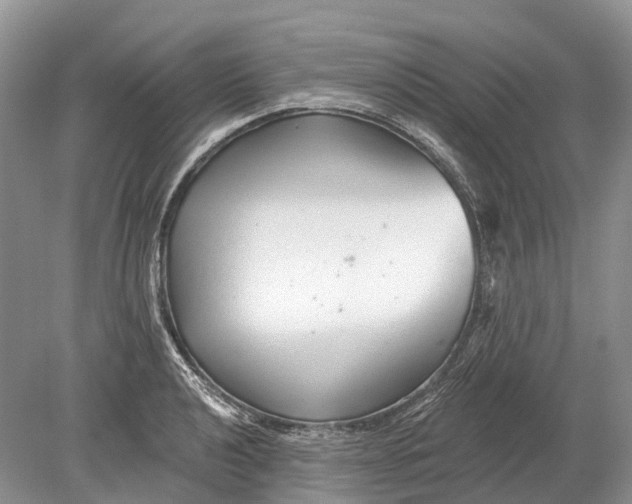 X0000078831040200612041808