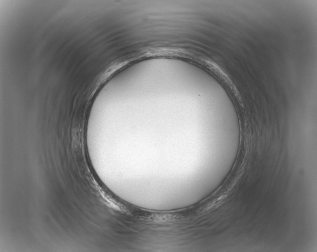 X0000078831041200612041808