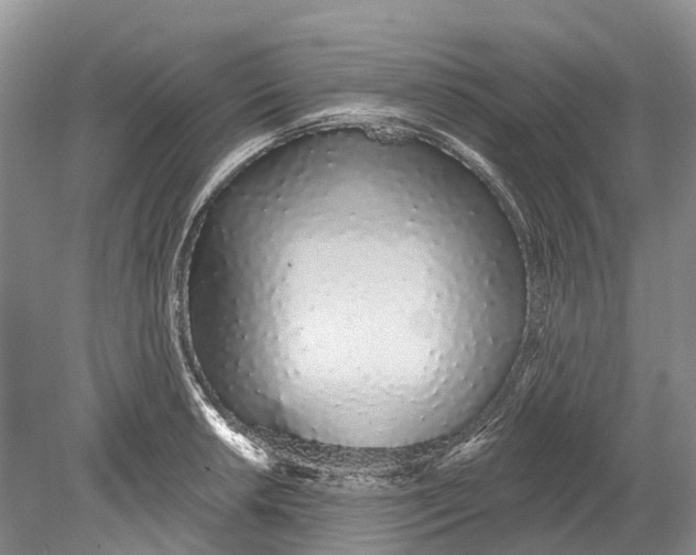 X0000078831042200612041808