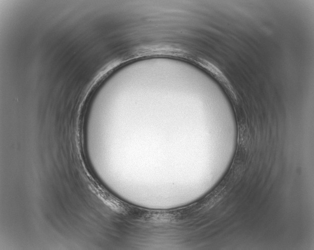 X0000078831043200612041808