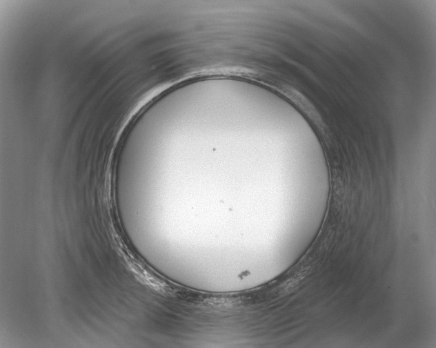 X0000078831044200612041808