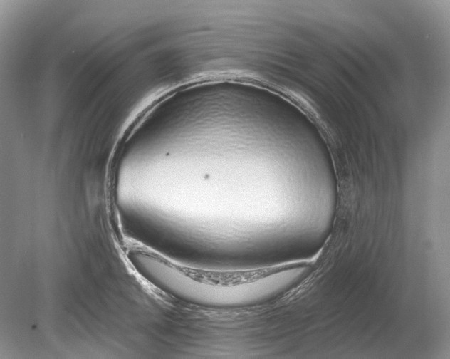 X0000078831046200612041808