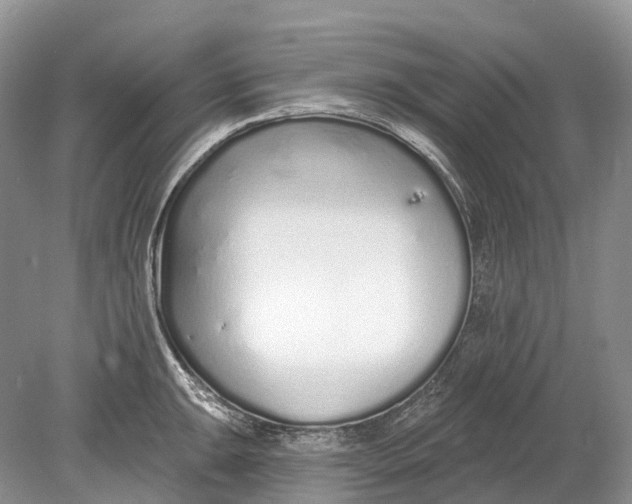 X0000078831047200612041808