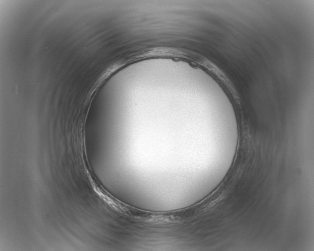 X0000078831049200612041808