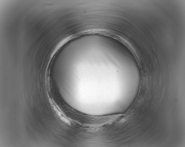 X0000078831050200612041808